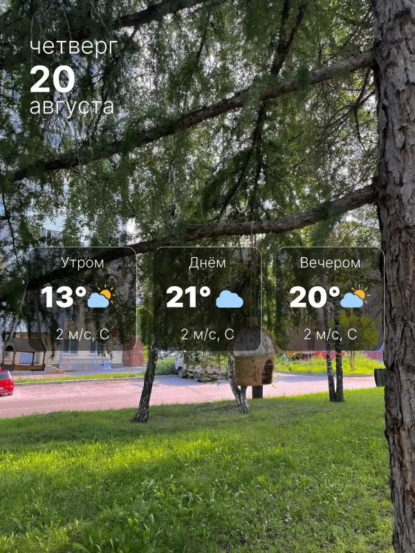 В четверг до +21° и небольшой дождь