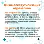 В конце напряженной недели мозг находится в состоянии гиперактивации: симпатическая нервная система работает на пределе, а уровень «гормонов стресса» (кортизола и адреналина) зашкаливает