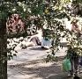 В Кировском районе на улице Громова возле дома № 4 автомобиль сбил женщину