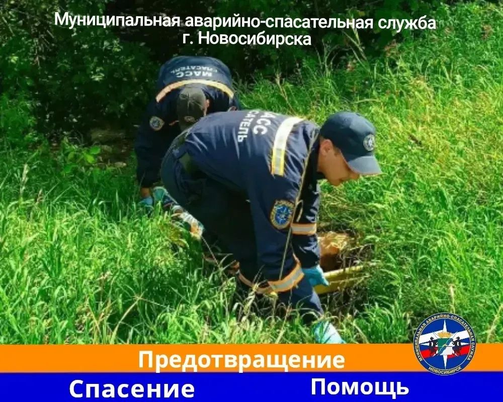 В Новосибирске спасатели вытащили из оврага мужчин с признаками передозировки