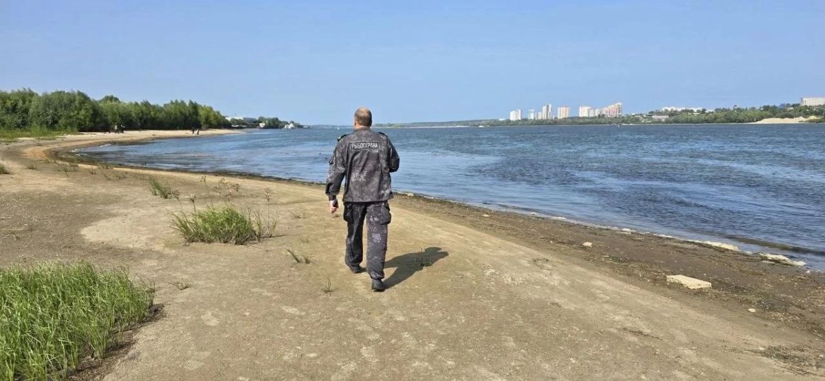 В Новосибирске зафиксировали массовую гибель рыбы в Оби у Димитровского моста В Новосибирске зафиксировали массовую гибель рыбы в Оби у Димитровского моста