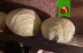 ��� �������� ������ � ������� �������: ������� ���������� ������ ����� ������ ������