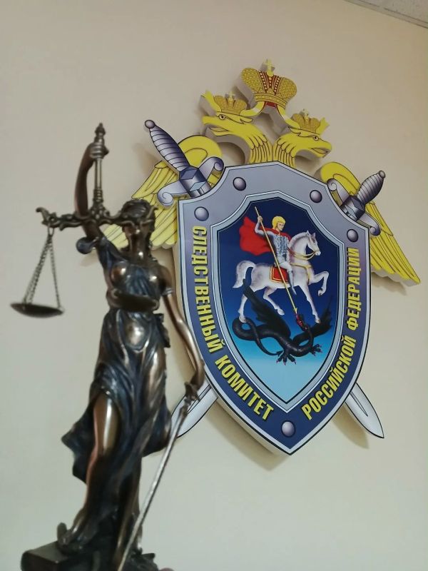 Жительница Бердска признана виновной в даче заведомо ложных показаний в суде
