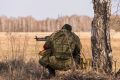 Новосибирские охотники получили шанс на добычу лося и косули