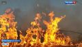 Высокая пожароопасность. По данным синоптиков, с 31 августа по 3 сентября 2026 года в Новосибирской области сохранится пожароопасность 4 класса