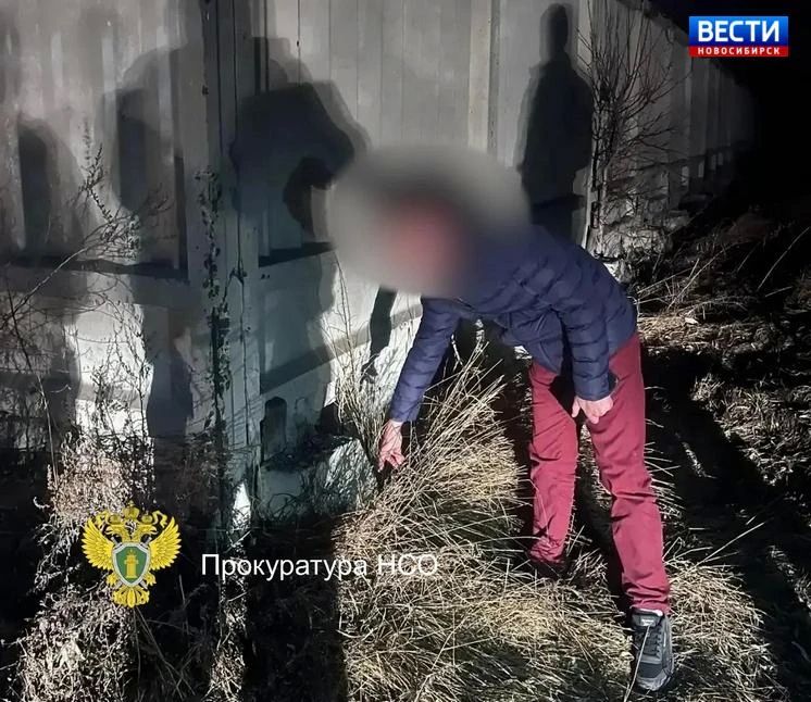 Попался с запрещёнкой. В суд Новосибирской области направлено уголовное дело против 36-летнего омича Попался с запрещёнкой. В суд Новосибирской области направлено уголовное дело против 36-летнего омича