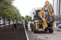 Ковёр для липовой аллеи: 1,3 километра газонов обновляют на Богдашке
