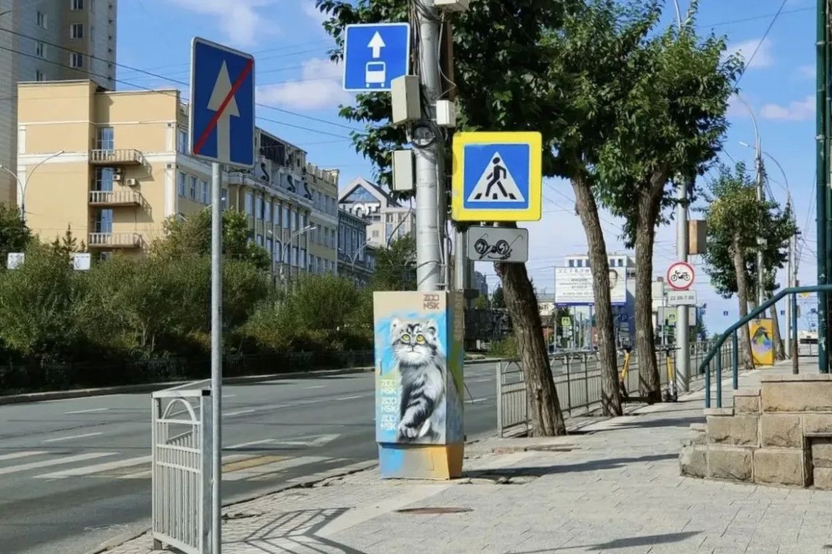 Уличные художники превращают коммуникационные шкафы областной столицы в арт-объекты Уличные художники превращают коммуникационные шкафы областной столицы в арт-объекты