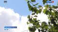 Бабье лето. В Новосибирскую область возвращается тепло
