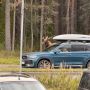 Лось вышел на Бердское шоссе в Новосибирске