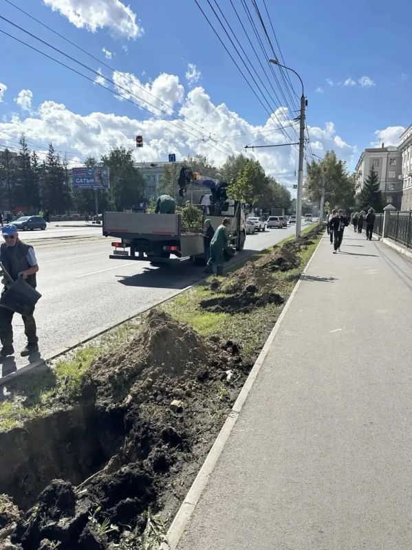 В Театральном сквере Новосибирска высадили шестиметровые ели В Театральном сквере Новосибирска высадили шестиметровые ели