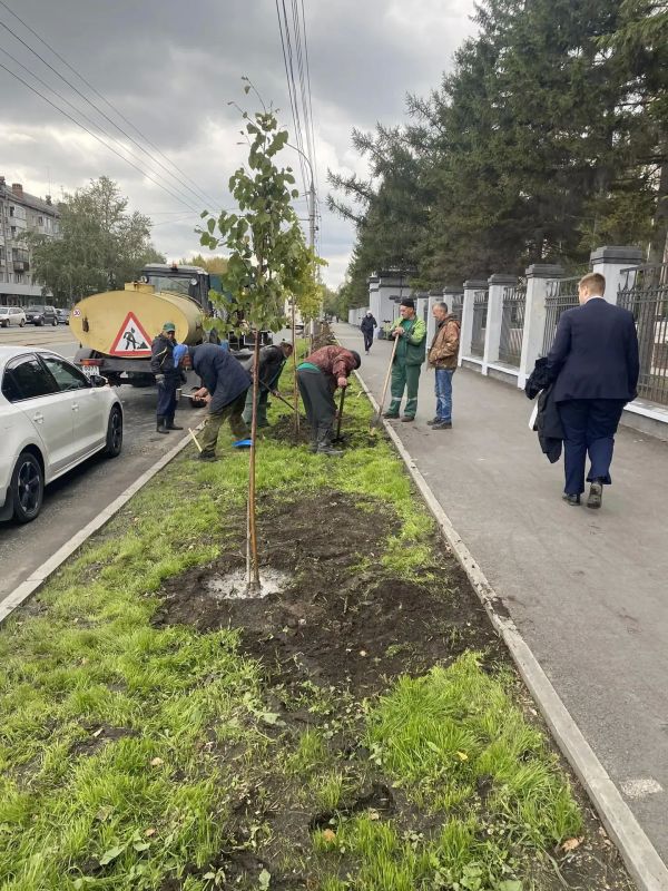 В Театральном сквере Новосибирска высадили шестиметровые ели В Театральном сквере Новосибирска высадили шестиметровые ели