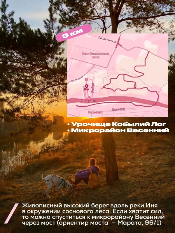 Отличная погода на выходных – самое время для велопрогулок Отличная погода на выходных – самое время для велопрогулок