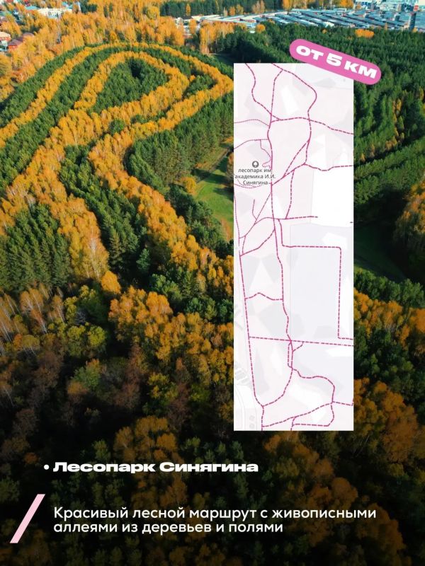 Отличная погода на выходных – самое время для велопрогулок Отличная погода на выходных – самое время для велопрогулок