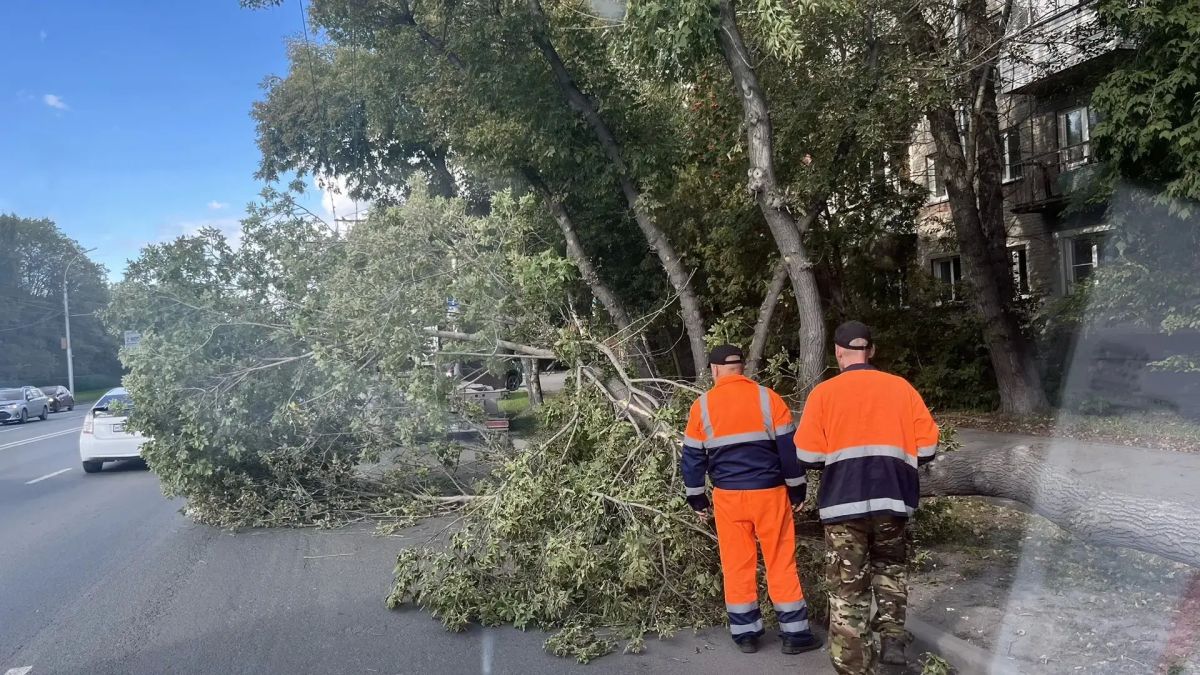 За неделю с 31 августа по 6 сентября с магистралей и улиц Новосибирска вывезли 2 191 кубометр мусора и 1 911 тонн смета и грязи За неделю с 31 августа по 6 сентября с магистралей и улиц Новосибирска вывезли 2 191 кубометр мусора и 1 911 тонн смета и грязи