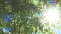 Жара пришла. На этой неделе в Новосибирской области ожидается жара до +30 °C. Начальник отдела метеопрогнозов Западно-Сибирского гидрометцентра Наталья Кичанова сообщила, что после 7 сентября температура днём будет выше...