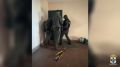 � ������������ ������� ���� ������������: ������� � ������������ ��������� 9 �������