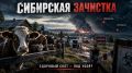 Мясо дорожает, коров жгут: кому выгодна очередная зачистка скота в Сибири?
