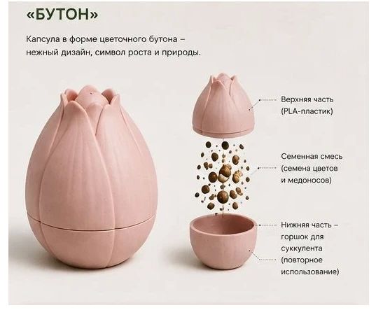 Новосибирская аспирантка создала «солонку» для озеленения городов