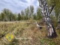 Новосибирец застрелил знакомого на охоте, приняв его за медведя, сообщает прокуратура региона