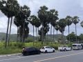 Россияне стали отказываться от поездок в Таиланд из-за вспышки COVID-19