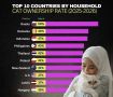 Россию признали самой «кошачьей» страной мира