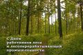 День работников леса. Уважаемые ветераны, работники лесного хозяйства и лесоперерабатывающей промышленности! Примите искренние поздравления от депутатов Законодательного Собрания Новосибирской области с профессиональным...
