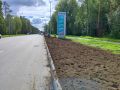 Сентябрьское озеленение в Советском районе