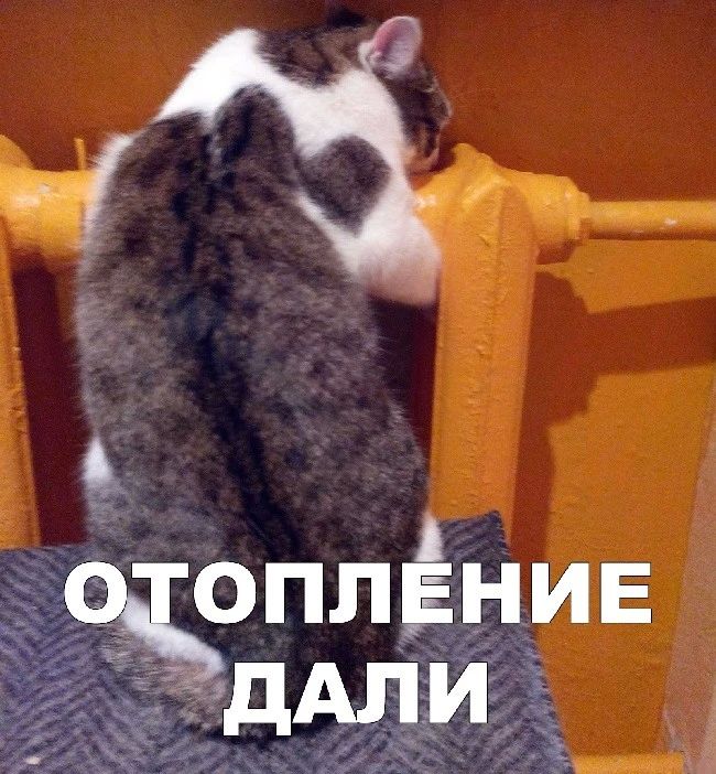 В Новосибирске за первый день отопительного сезона тепло дали 288 социальным объектам