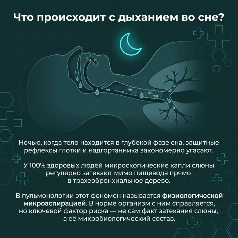 Мы привыкли лечить кашель сиропами, а пневмонию — антибиотиками, не задумываясь о том, откуда бактерии изначально попадают в легкие Мы привыкли лечить кашель сиропами, а пневмонию — антибиотиками, не задумываясь о том, откуда бактерии изначально попадают в легкие