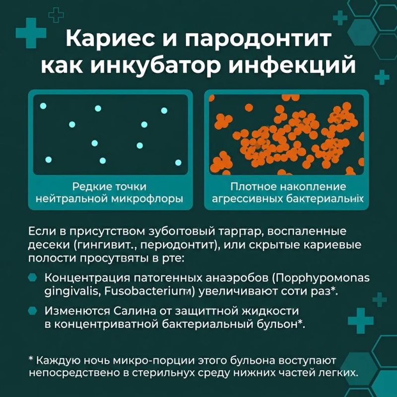 Мы привыкли лечить кашель сиропами, а пневмонию — антибиотиками, не задумываясь о том, откуда бактерии изначально попадают в легкие Мы привыкли лечить кашель сиропами, а пневмонию — антибиотиками, не задумываясь о том, откуда бактерии изначально попадают в легкие