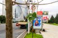 Новая липовая аллея объединит сквер «Октябрьский» и «Парк имени Ю. Ф. Бугакова»