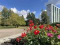 Сегодня нам выдадут ещё немного осеннего солнца и тепла — первая половина дня будет ясной