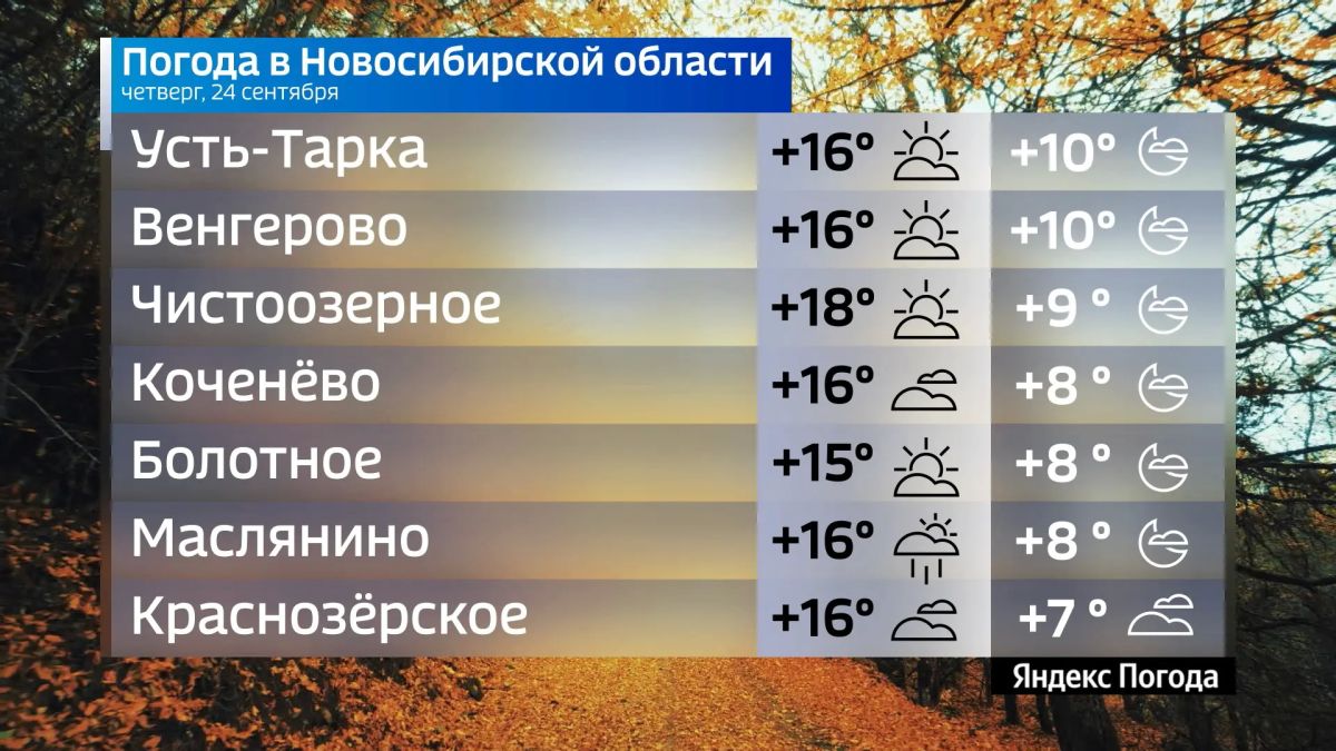 Прогноз погоды на 24 сентября 2026 года в Новосибирской области Прогноз погоды на 24 сентября 2026 года в Новосибирской области