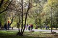 Здесь пахнет лесом: смотрим, как преобразился Сквер Сибиряков-Гвардейцев
