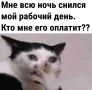 Вы когда-нибудь слышали: «Рыба снится к беременности»? А «зуб выпал — к вестям от родных»?