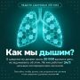 Около 20 000 вдохов и выдохов мы делаем каждый день — абсолютно на автопилоте