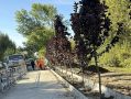 Новый зеленый маршрут на улице Плахотного