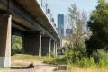 Срок полного завершения капремонта Димитровского моста назвали в Новосибирске