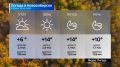 Прогноз погоды на 29 сентября 2026 года в Новосибирской области