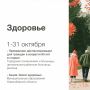 Декада пожилого человека стартует завтра в Новосибирской области
