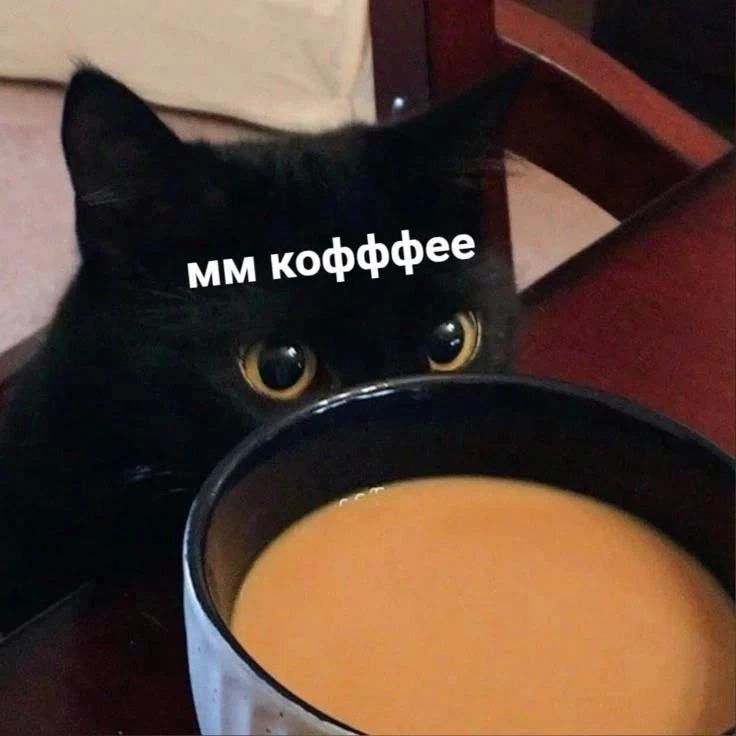 Сыр, яйцо и щепотка соли: как пьют кофе в разных странах?