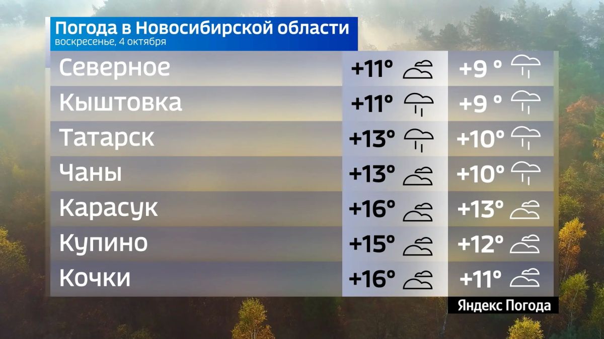 Прогноз погоды на 4 октября 2026 года в Новосибирской области Прогноз погоды на 4 октября 2026 года в Новосибирской области