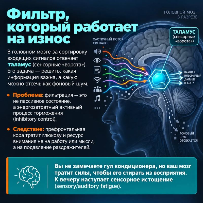 «Вроде бы ничего тяжелого за день не сделал, а сил нет совсем» «Вроде бы ничего тяжелого за день не сделал, а сил нет совсем»