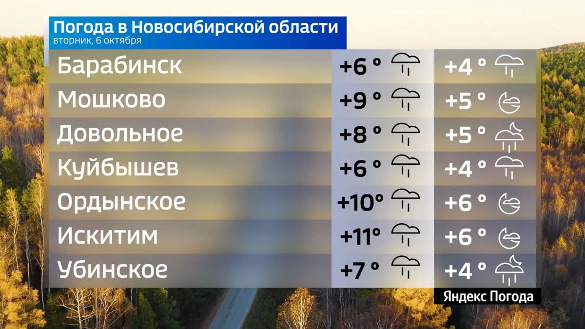 Прогноз погоды на 6 октября 2026 года в Новосибирской области Прогноз погоды на 6 октября 2026 года в Новосибирской области