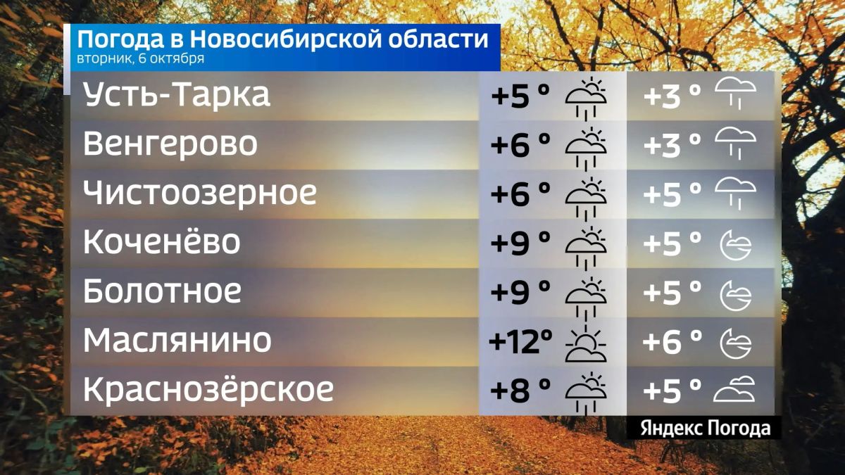Прогноз погоды на 6 октября 2026 года в Новосибирской области Прогноз погоды на 6 октября 2026 года в Новосибирской области