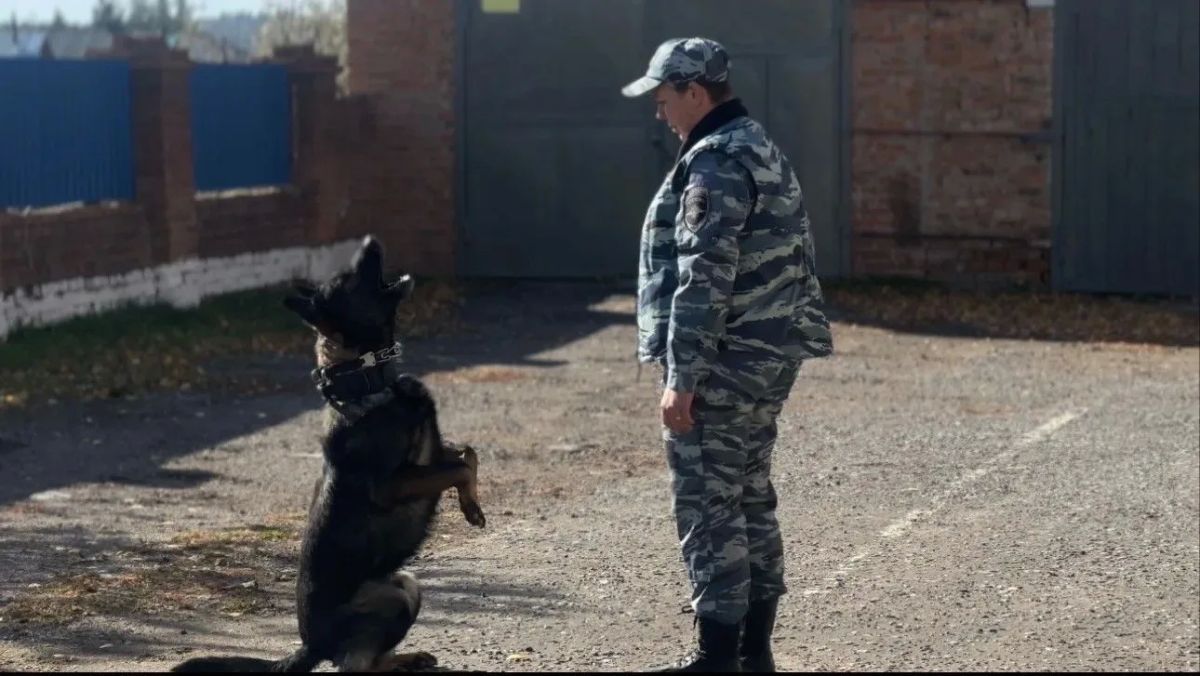 В Новосибирской области сотрудники полиции провели для школьников «День открытых дверей» В Новосибирской области сотрудники полиции провели для школьников «День открытых дверей»