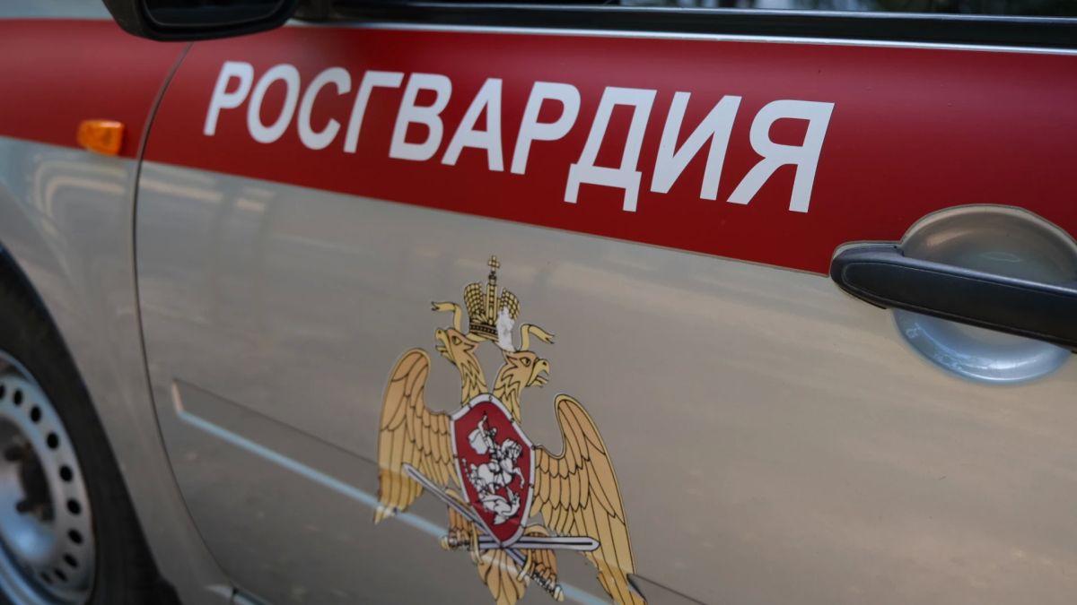 Тамбовские росгвардейцы более 100 раз за неделю выехали по сигналу «тревога»
