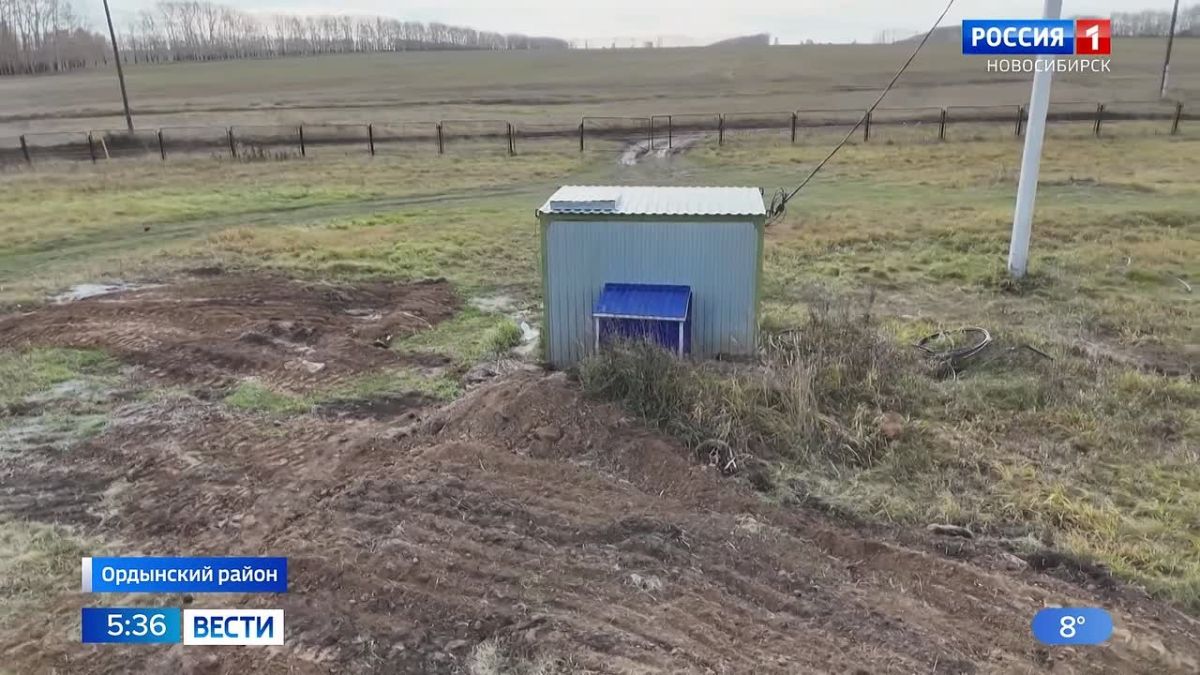 Живут без воды. В селе Рогалево Ордынского района Новосибирской области из-за внезапной засухи сотни жителей остались без воды