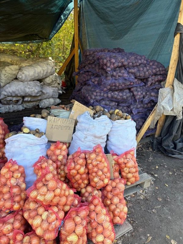 В Новосибирске изъяли более семи тонн продукции у нелегальных торговцев В Новосибирске изъяли более семи тонн продукции у нелегальных торговцев